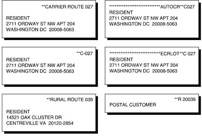 Shows acceptable formats for addresses with carrier route information.