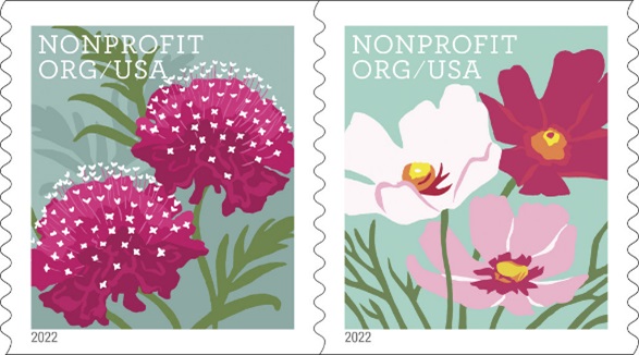 Butterfly Garden Flowers Butterfly Garden Flowers