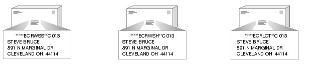 This graphic shows the bundle preparation for Standard Mail Enhanced Carrier Route Irregular Parcels as described in the text.