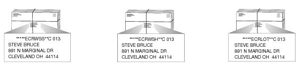 This graphic shows the bundle Preparation for Standard Mail Enhanced Carrier Route Flats as described in the text.