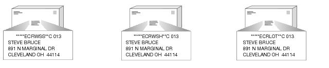 This graphic shows the bundle preparation for Standard Mail Enhanced Carrier Route Irregular Parcels as described in the text.