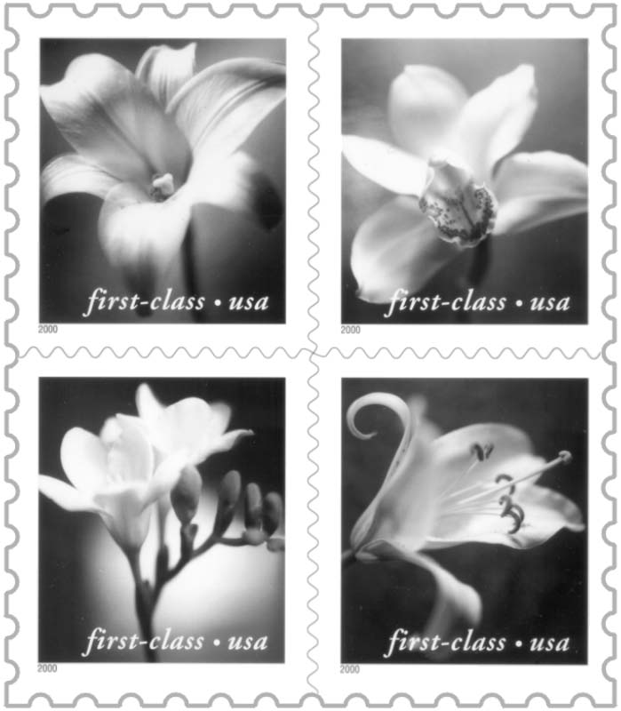 Graphic illustrates the stamp described in the text below it.