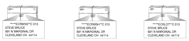 This graphic shows the bundle Preparation for Standard Mail Enhanced Carrier Route Flats as described in the text.