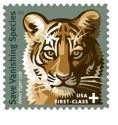 Save Vanishing Species Save Vanishing Species